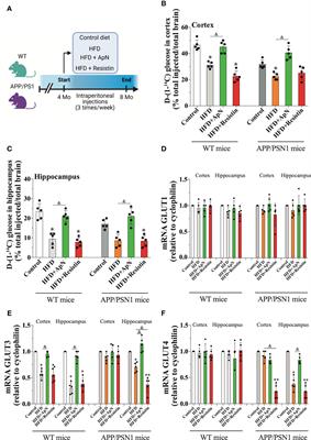 Adiponectin and resistin modulate the progression of Alzheimer´s disease in a metabolic syndrome model